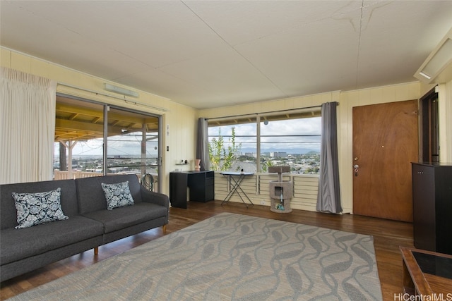 living room with dark hardwood / wood-style flooring