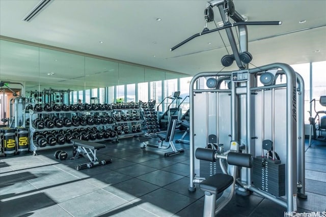 exercise room featuring a wealth of natural light