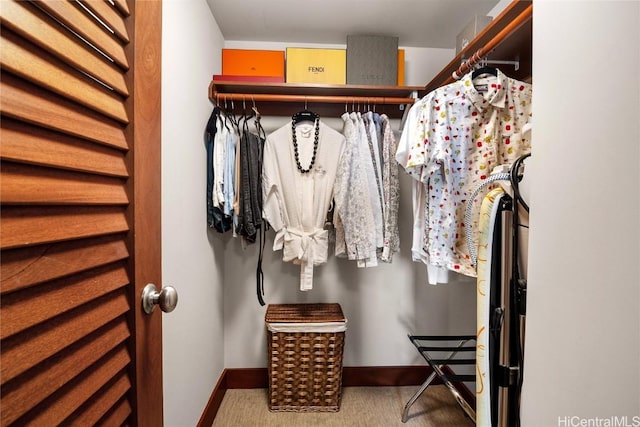 spacious closet featuring carpet