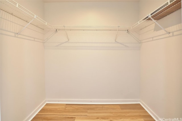 spacious closet with hardwood / wood-style floors