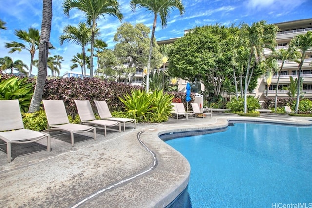 view of pool featuring a patio