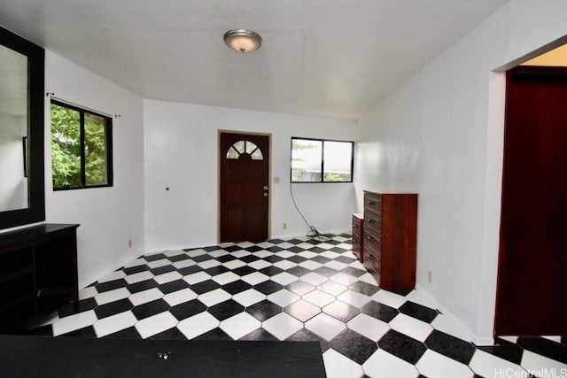 entrance foyer featuring a wealth of natural light