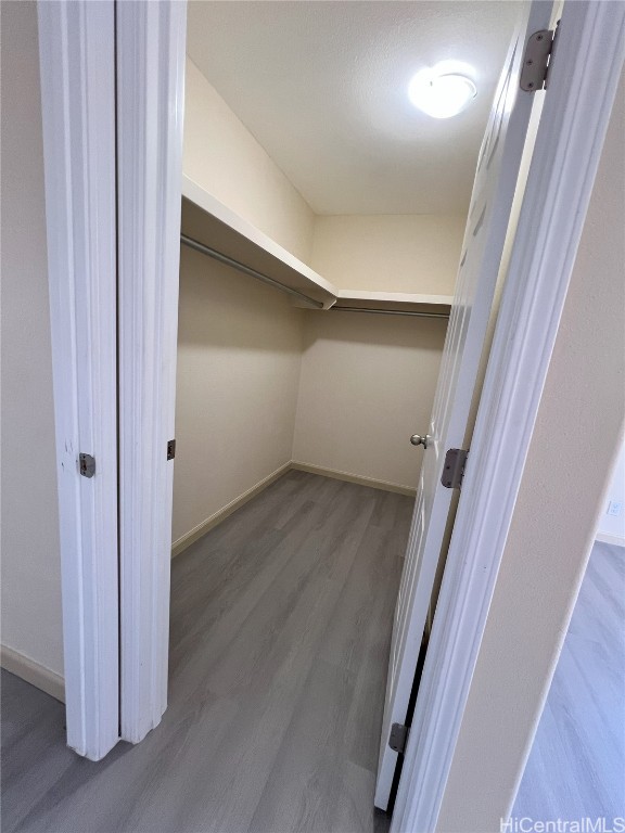 spacious closet with wood-type flooring