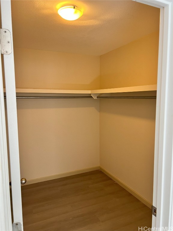 spacious closet with hardwood / wood-style floors