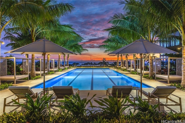 pool at dusk featuring a patio