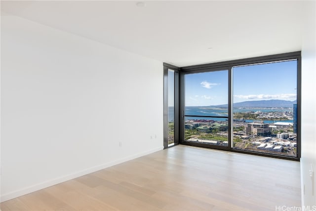 empty room featuring a mountain view, floor to ceiling windows, and light wood-type flooring