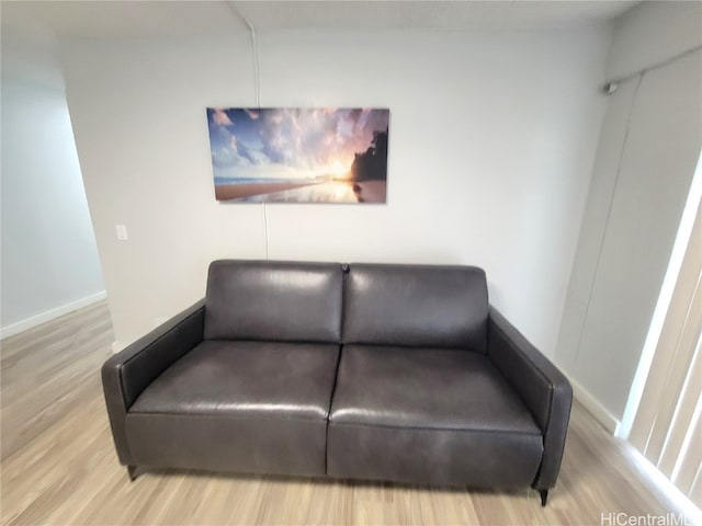 sitting room featuring wood-type flooring