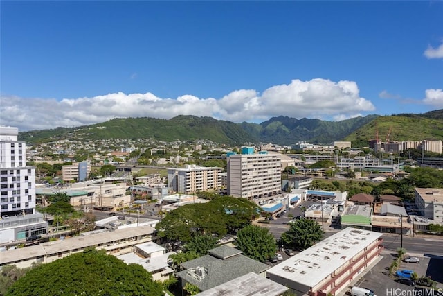 birds eye view of property with a mountain view