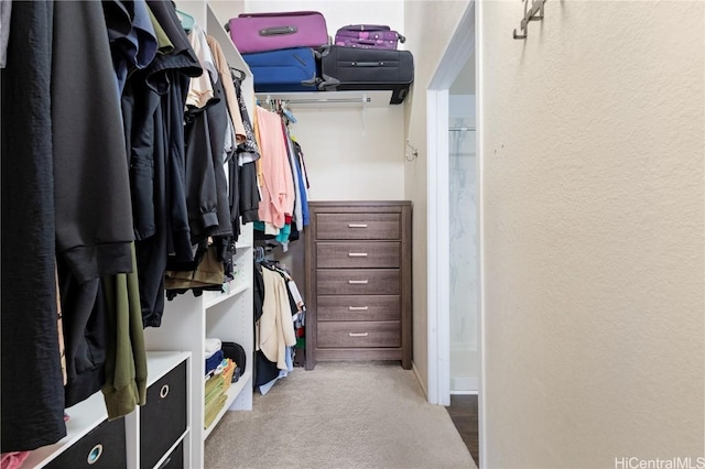 spacious closet with light colored carpet