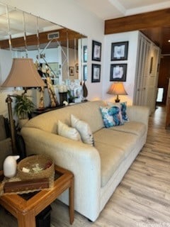 living room featuring wood-type flooring