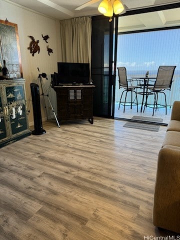 living room featuring hardwood / wood-style floors and ceiling fan