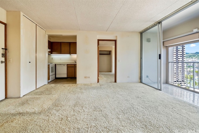 unfurnished bedroom with light colored carpet and a textured ceiling