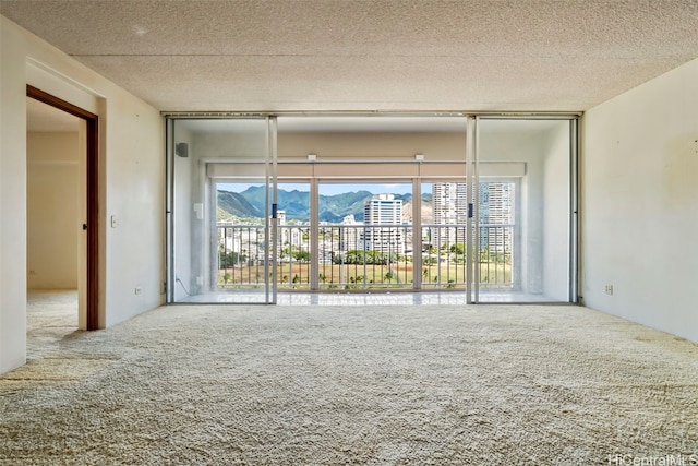 carpeted empty room with a mountain view and a textured ceiling