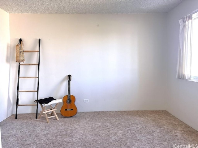 miscellaneous room featuring carpet, a textured ceiling, and a healthy amount of sunlight