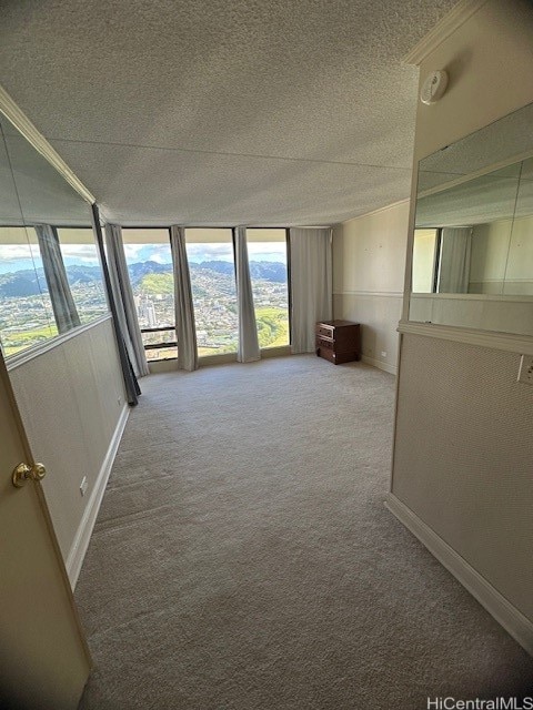 carpeted spare room with a textured ceiling