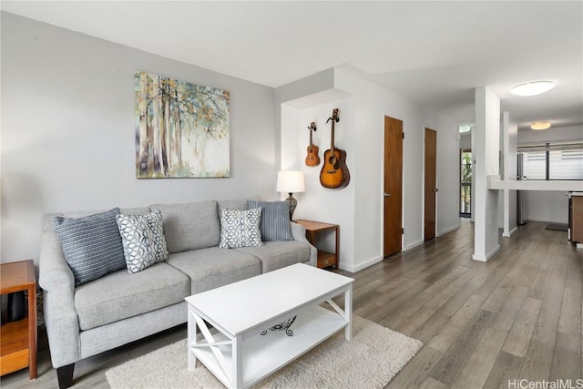 living room featuring hardwood / wood-style flooring