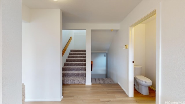 stairs featuring wood-type flooring