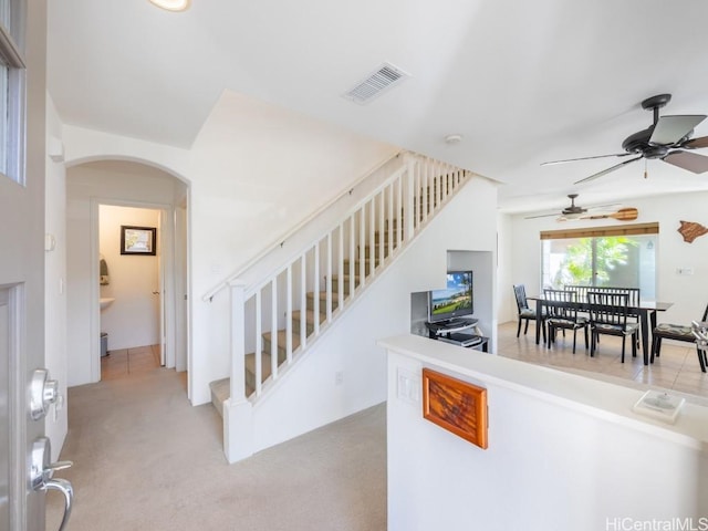 staircase featuring carpet flooring and ceiling fan