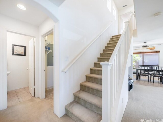 staircase with carpet floors, electric panel, and ceiling fan