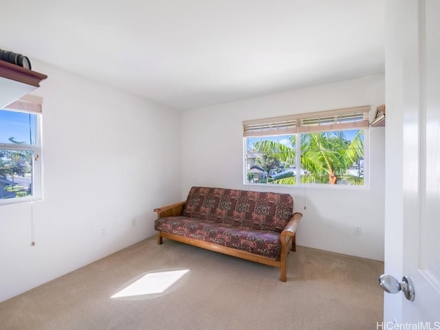 living area with carpet