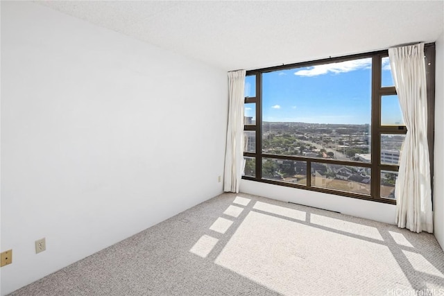 unfurnished room with light carpet and a textured ceiling