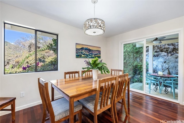 dining area with ceiling fan and dark wood-type flooring