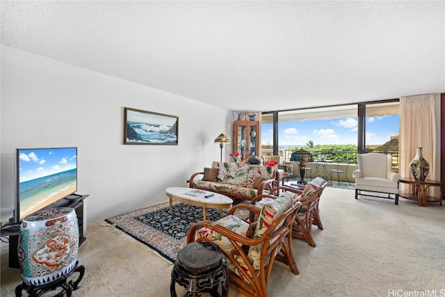 carpeted living room with a textured ceiling and floor to ceiling windows