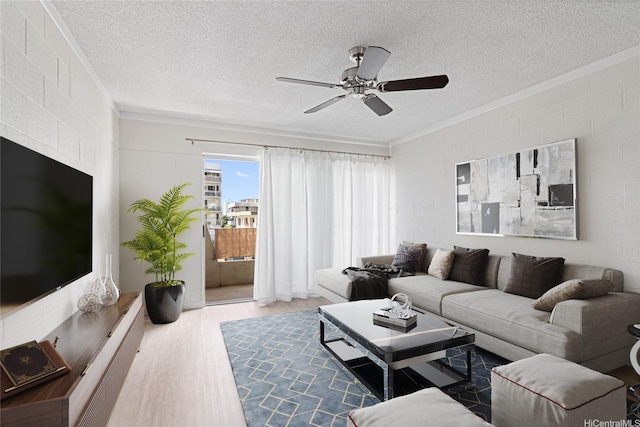 1642 Kewalo St Unit 208, Honolulu, HI 96822 - living area featuring crown molding, wood finished floors, a textured ceiling, and ceiling fan