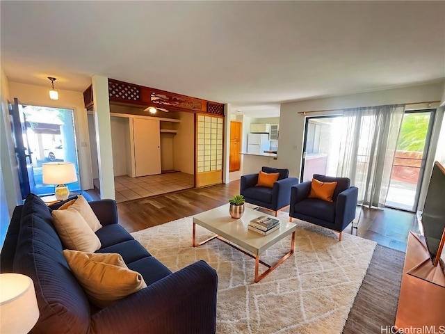 living room featuring hardwood / wood-style flooring