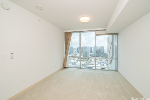 carpeted spare room featuring a wall of windows