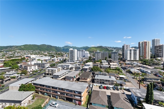 birds eye view of property featuring a mountain view