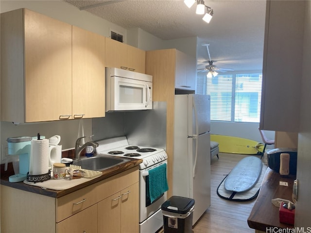 kitchen featuring white appliances, sink, light hardwood / wood-style flooring, a textured ceiling, and light brown cabinetry