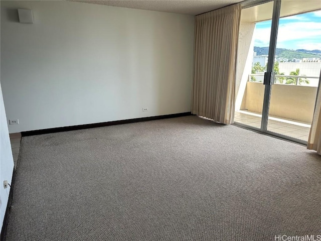 unfurnished room with carpet