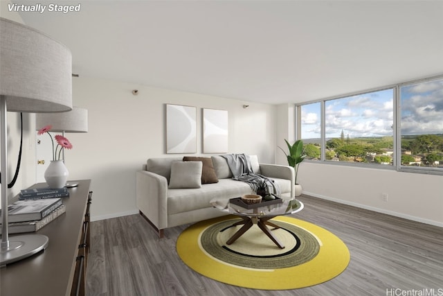 living room featuring dark hardwood / wood-style flooring