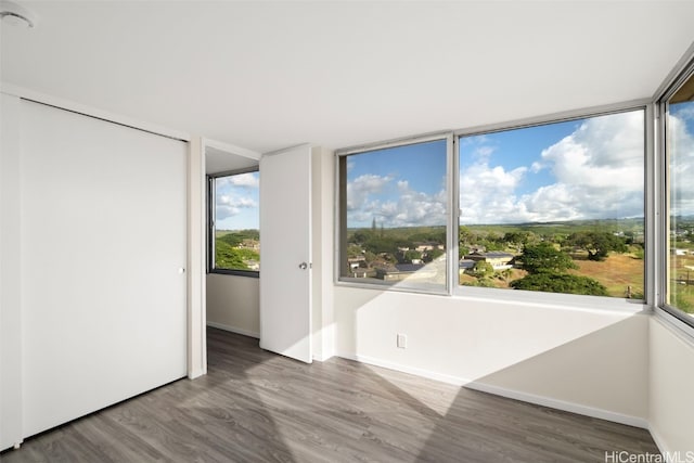 spare room featuring wood-type flooring and a wealth of natural light