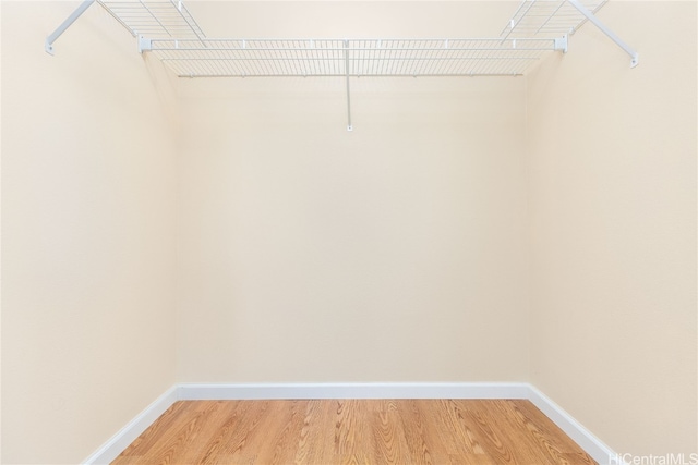 spacious closet featuring wood-type flooring