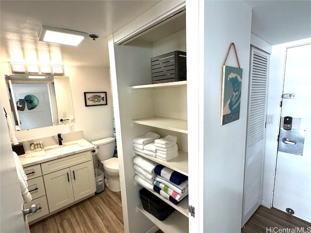 bathroom with vanity, wood-type flooring, and toilet