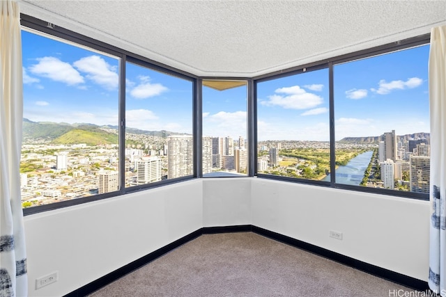 unfurnished sunroom featuring a wealth of natural light