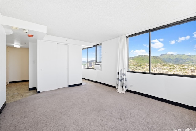 carpeted empty room featuring a mountain view, a textured ceiling, and a wealth of natural light