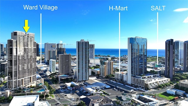 600 Queen St Unit 1405, Honolulu, HI 96813 - view of city with a nearby body of water