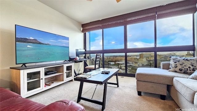 view of carpeted living room