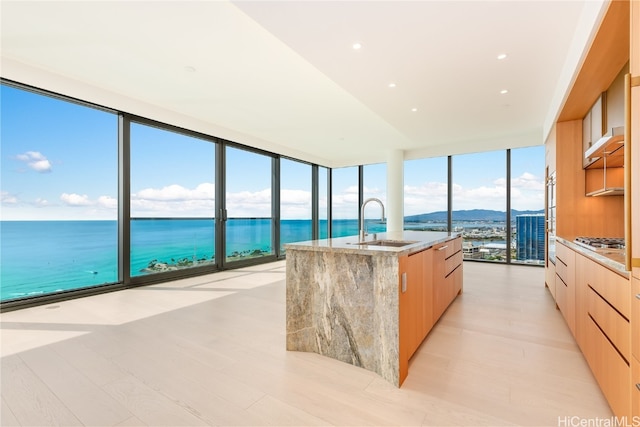 kitchen featuring light stone counters, a center island with sink, a healthy amount of sunlight, and a wall of windows