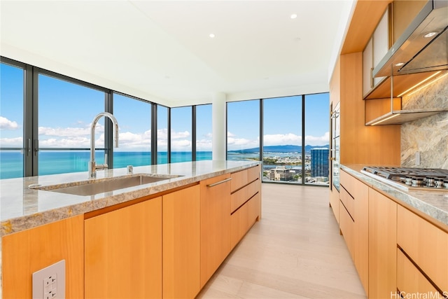 kitchen with light stone countertops, sink, light hardwood / wood-style floors, decorative backsplash, and a water view