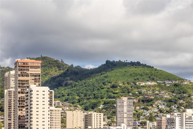 view of mountain feature