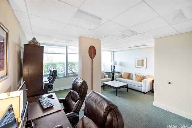 office area with carpet and a drop ceiling