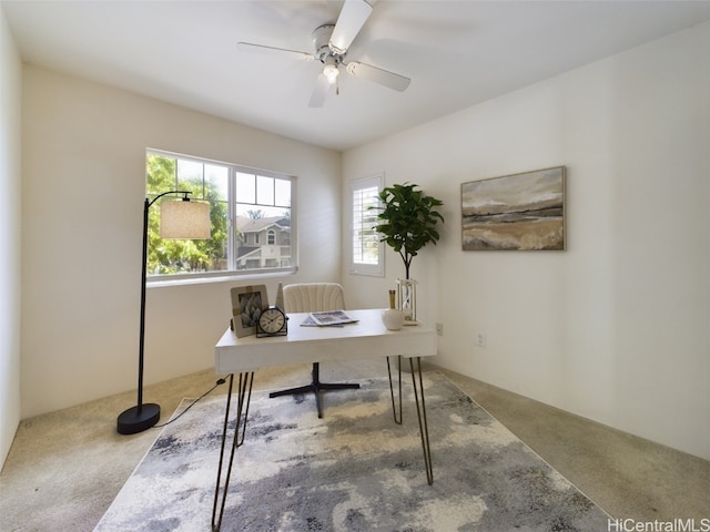 home office with ceiling fan and carpet floors