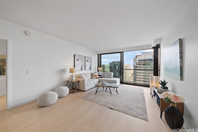 living room with a wall of windows and light wood-type flooring