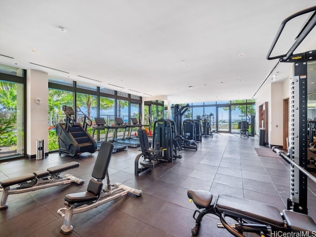 gym featuring floor to ceiling windows and a healthy amount of sunlight