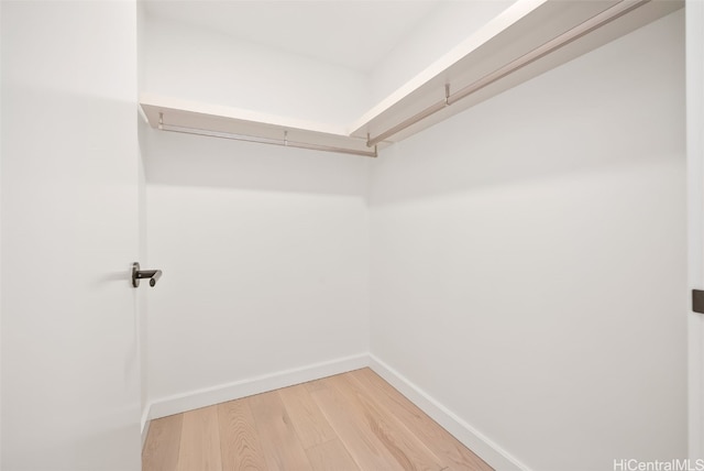 walk in closet with hardwood / wood-style floors