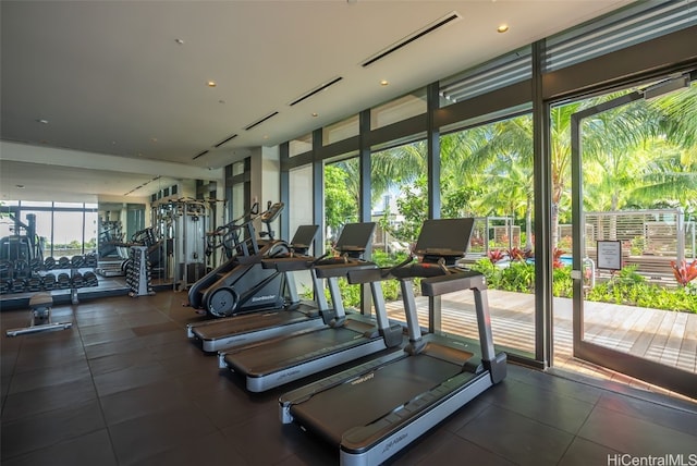 exercise room featuring floor to ceiling windows and a wealth of natural light